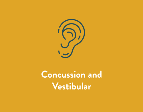 Concussion and Vestibular Service