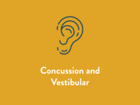 Concussion and Vestibular Service