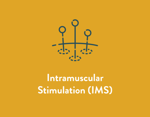 Intramuscular Stimulation IMS Service