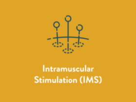 Intramuscular Stimulation IMS Service