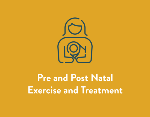 Pre and Post Natal Exercise and Treatment Service