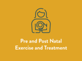 Pre and Post Natal Exercise and Treatment Service