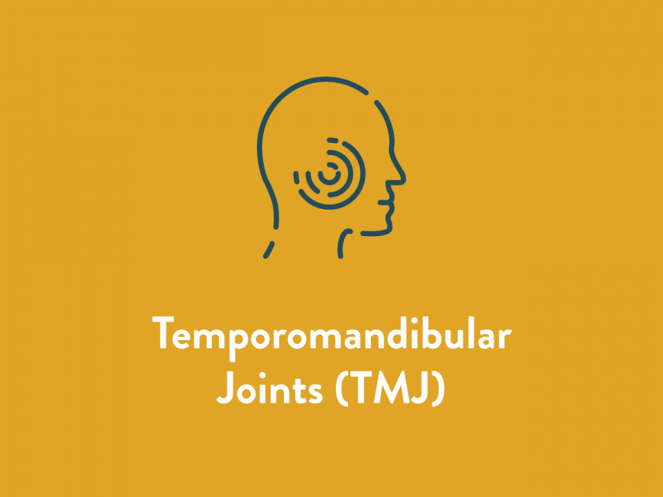 Temporomandibular Joints (TMJ) Icon